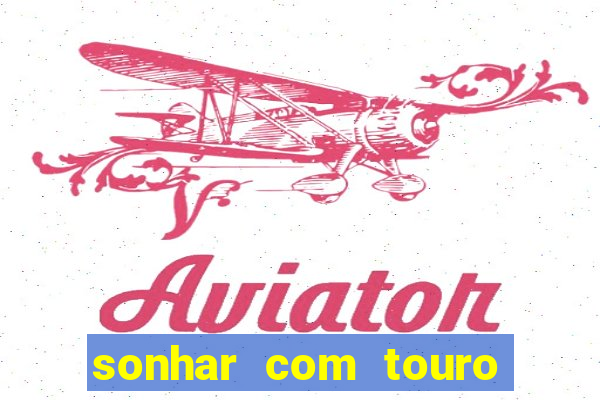 sonhar com touro bravo no mundo espiritual